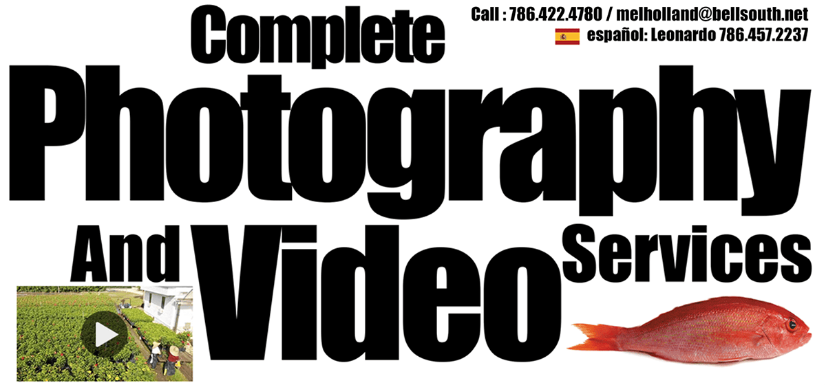Complete Photography and Video Services